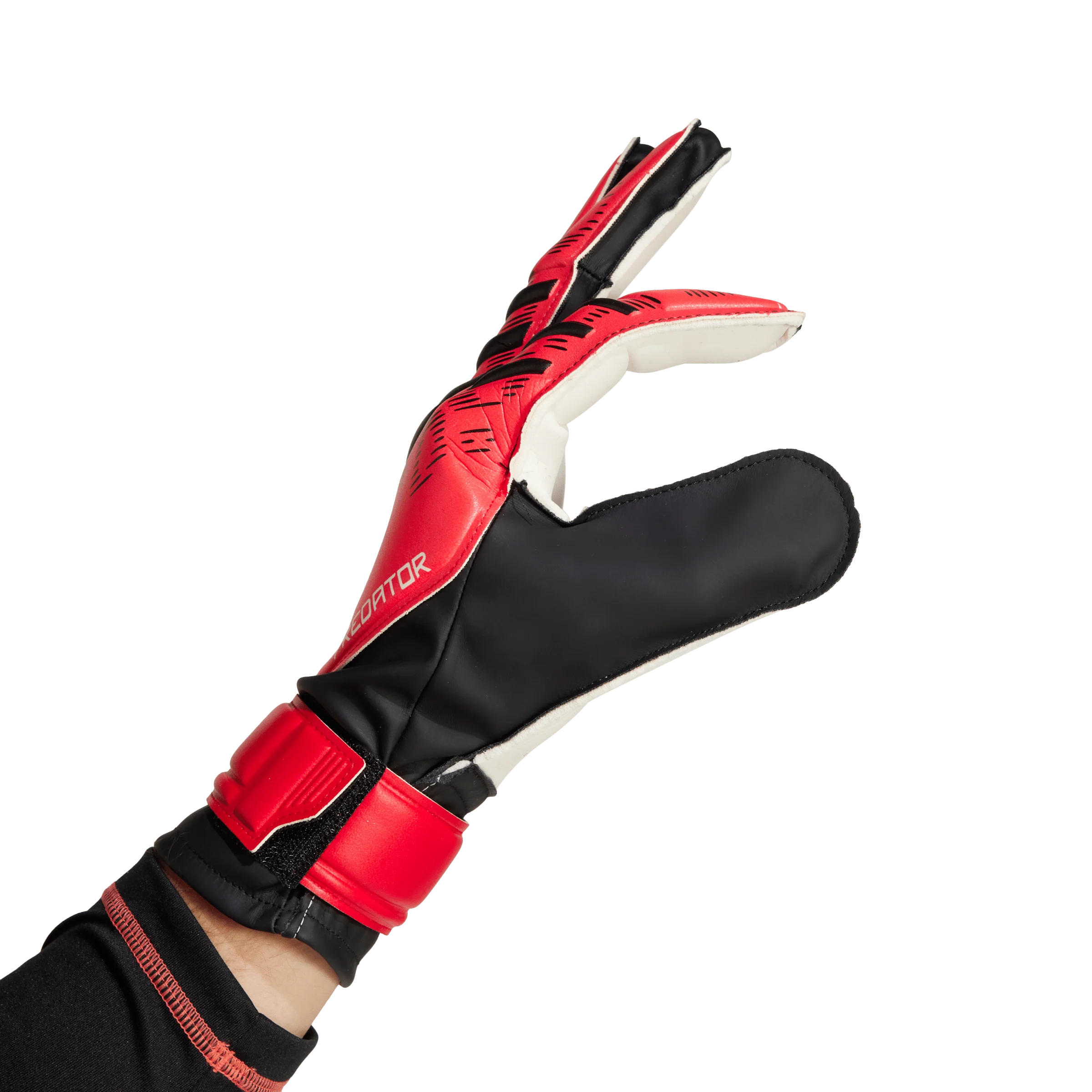 Thumb 5